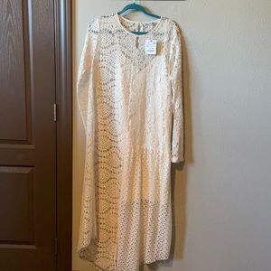 NEW with tag Zara ivory lace king sleeve dress